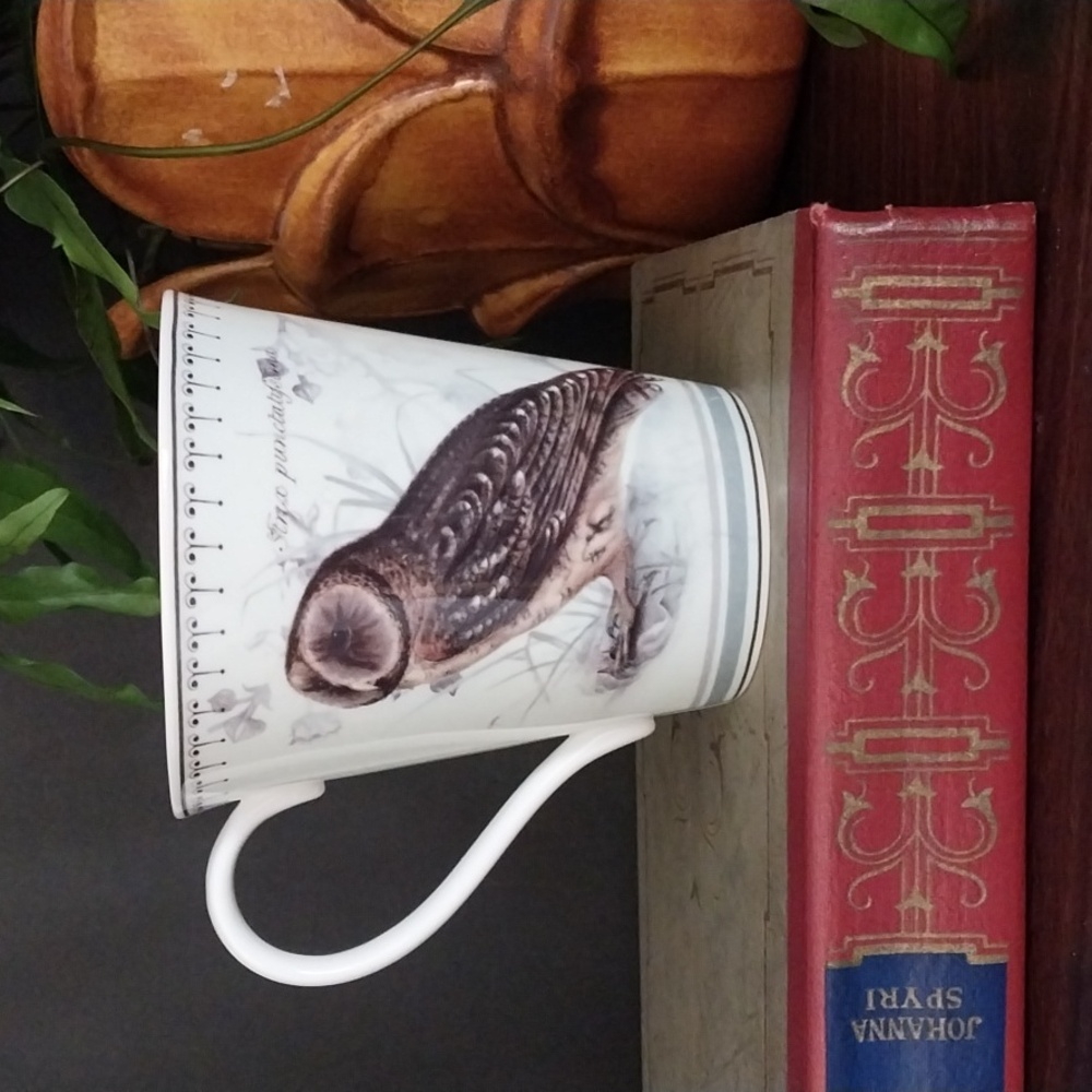 Aynsley Ornithological Studies Fine Bone China Owl Mug